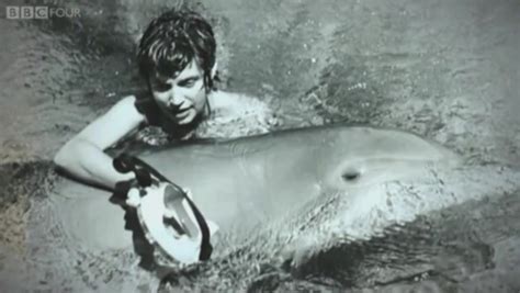 ‘It was gentle’: Woman describes sexual experience with dolphin .